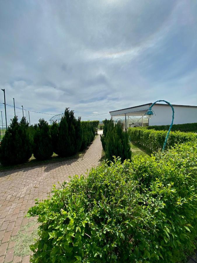 Green Oasis Apartment Stolniceni-Prajescu Exterior photo
