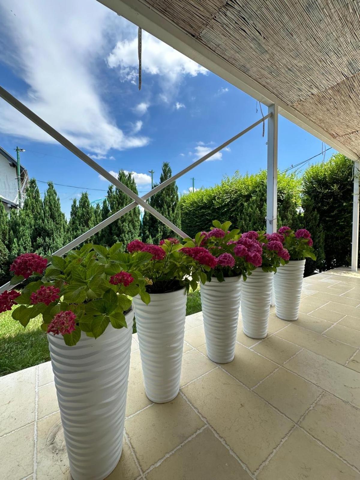 Green Oasis Apartment Stolniceni-Prajescu Exterior photo